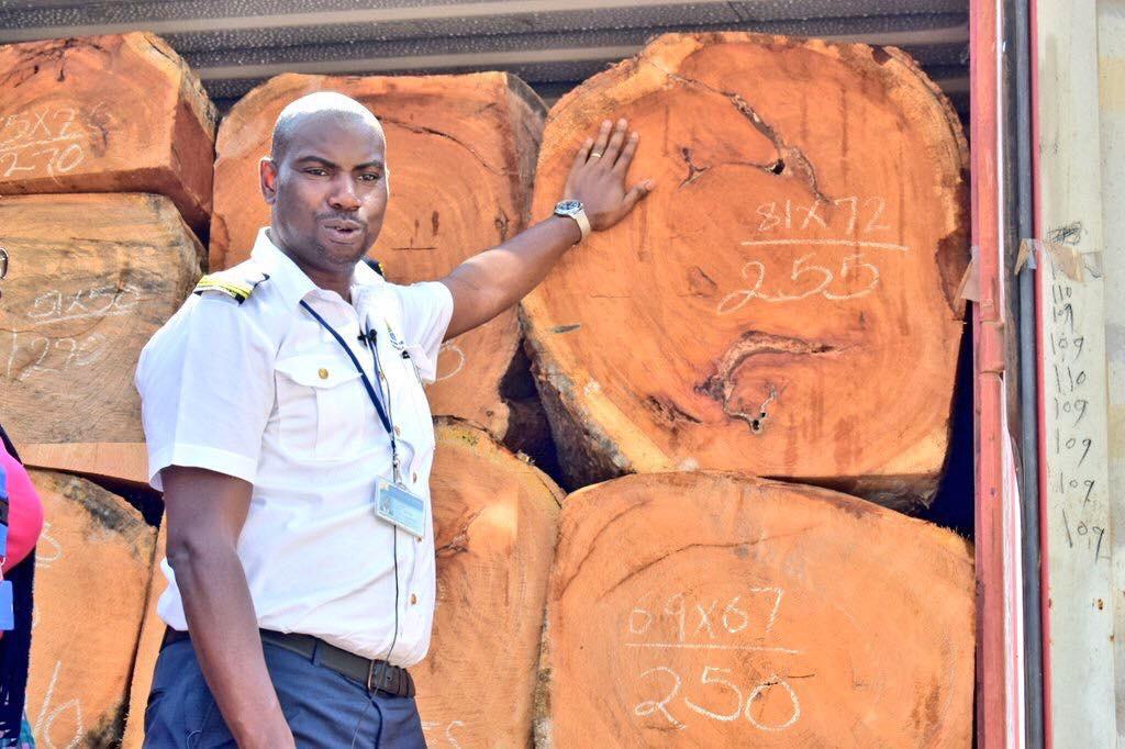 Smuggled Logg Uganda South Sudan Border
