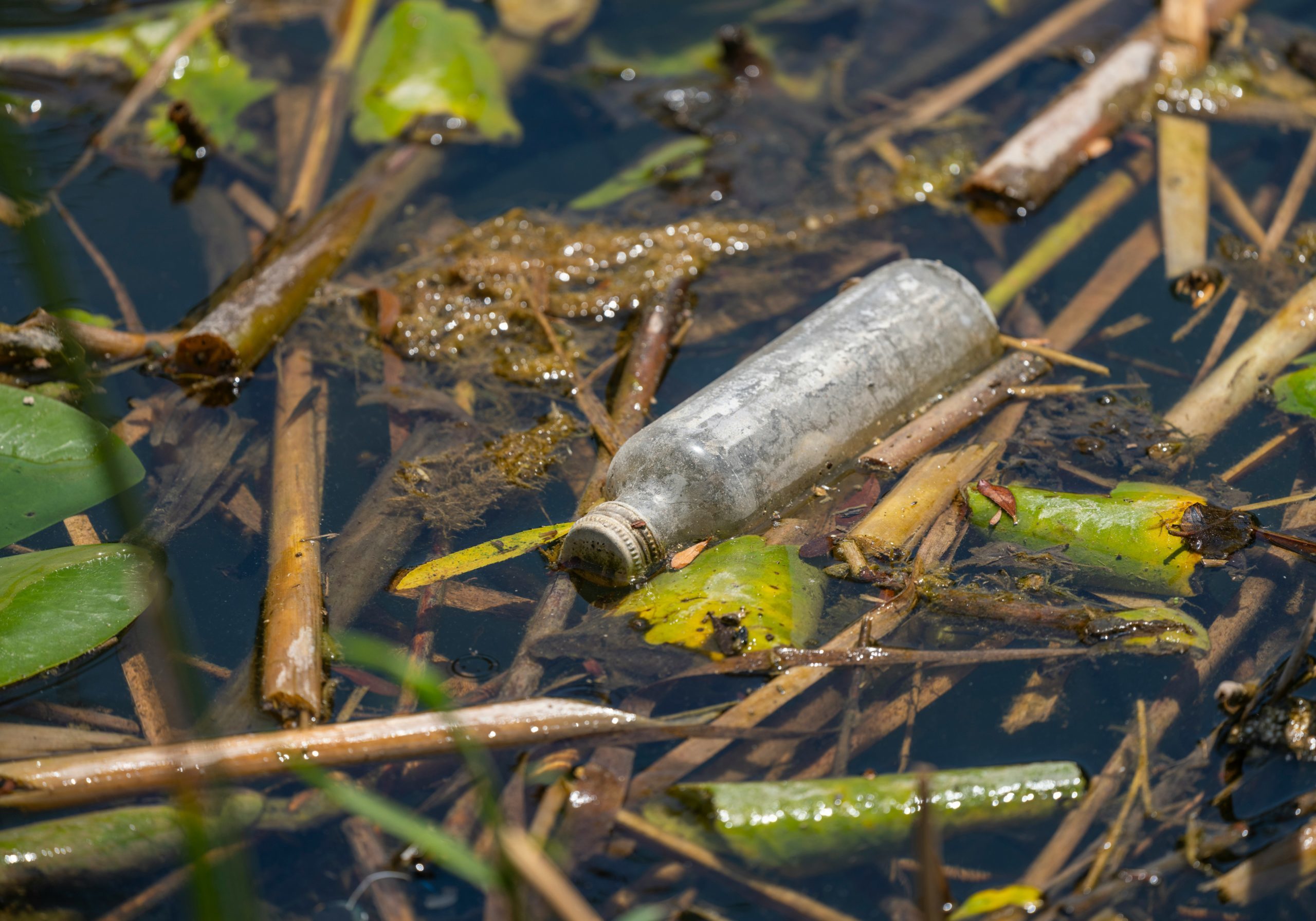 Bottle in dirty water-unsplash